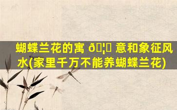 蝴蝶兰花的寓 🦋 意和象征风水(家里千万不能养蝴蝶兰花)